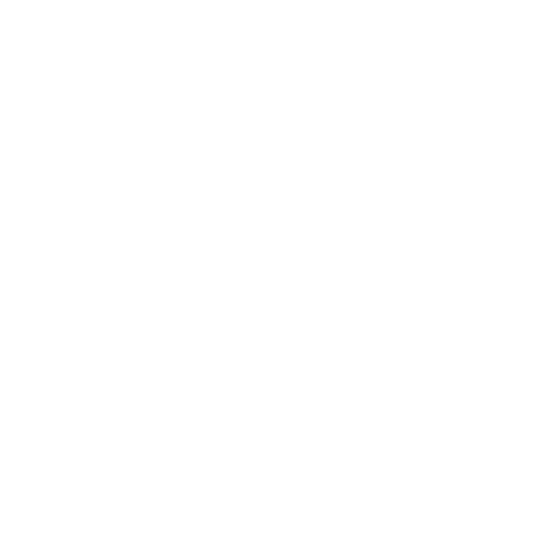 Skilled Team