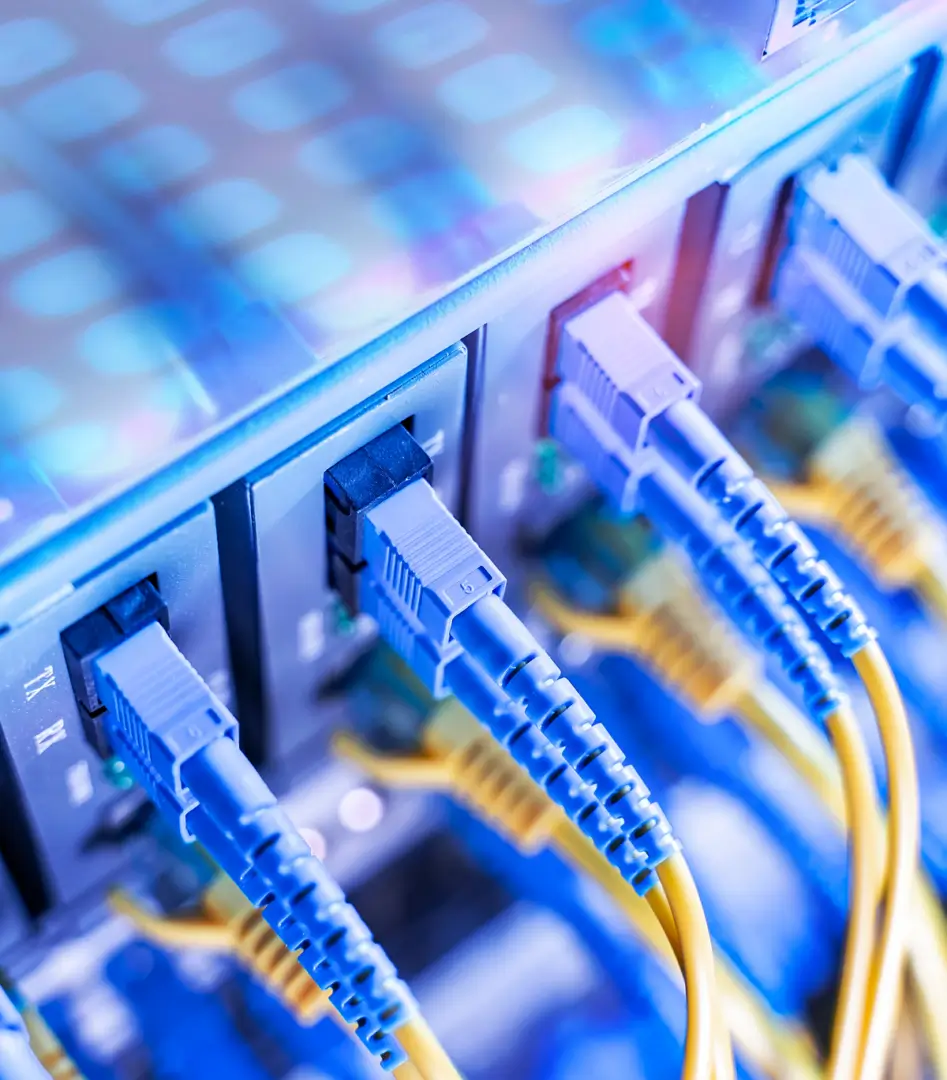 Network cables connected to a server rack.